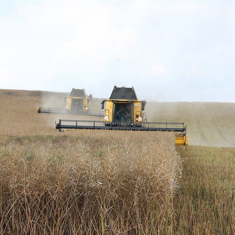 agriculture