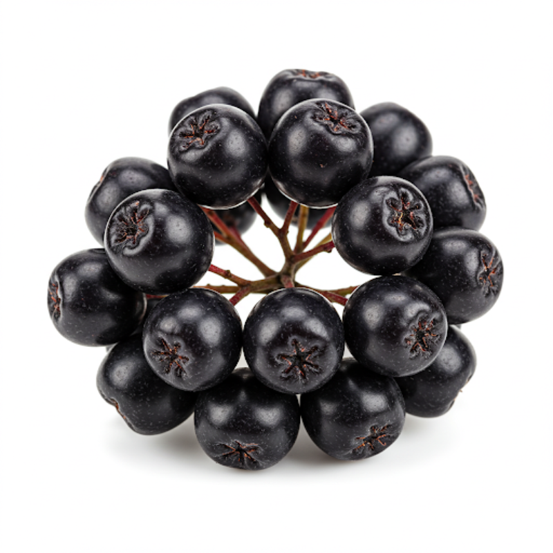 aronia berry