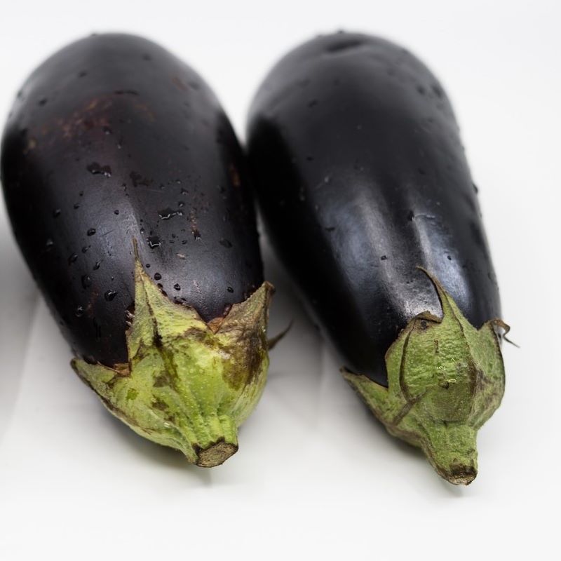 aubergine