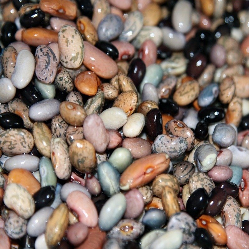 bean