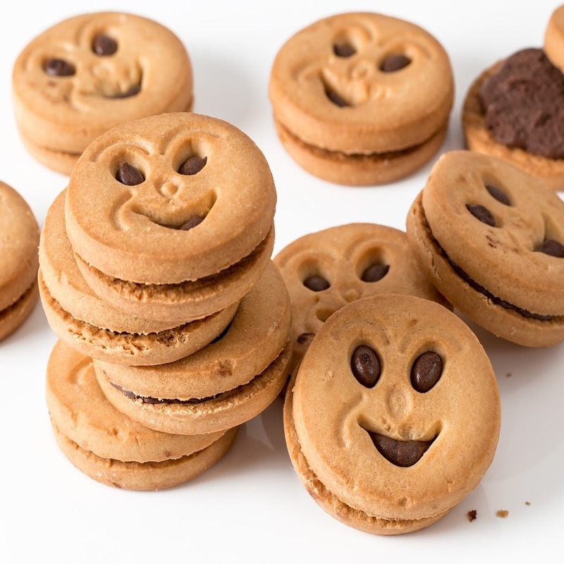 biscuit