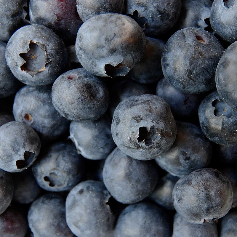 blueberry