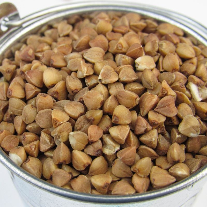 buckwheat