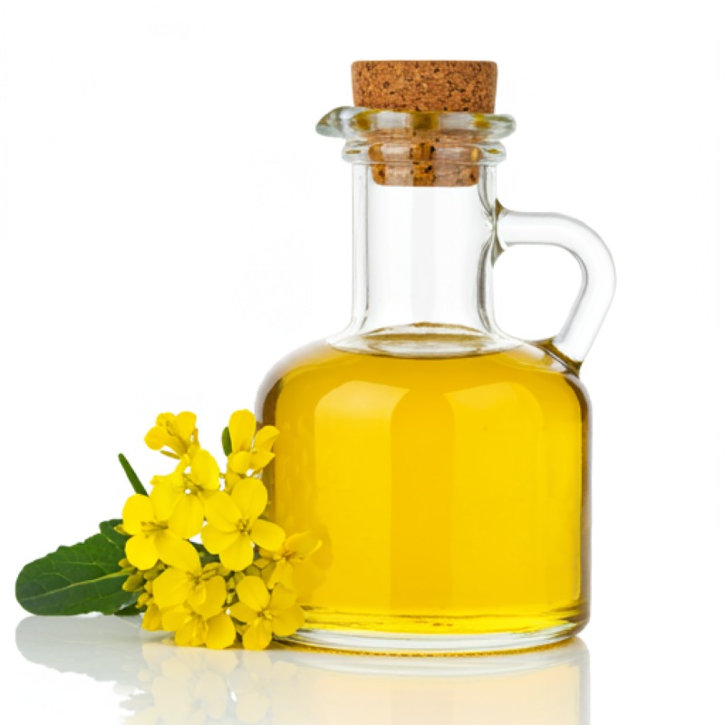 canola oil