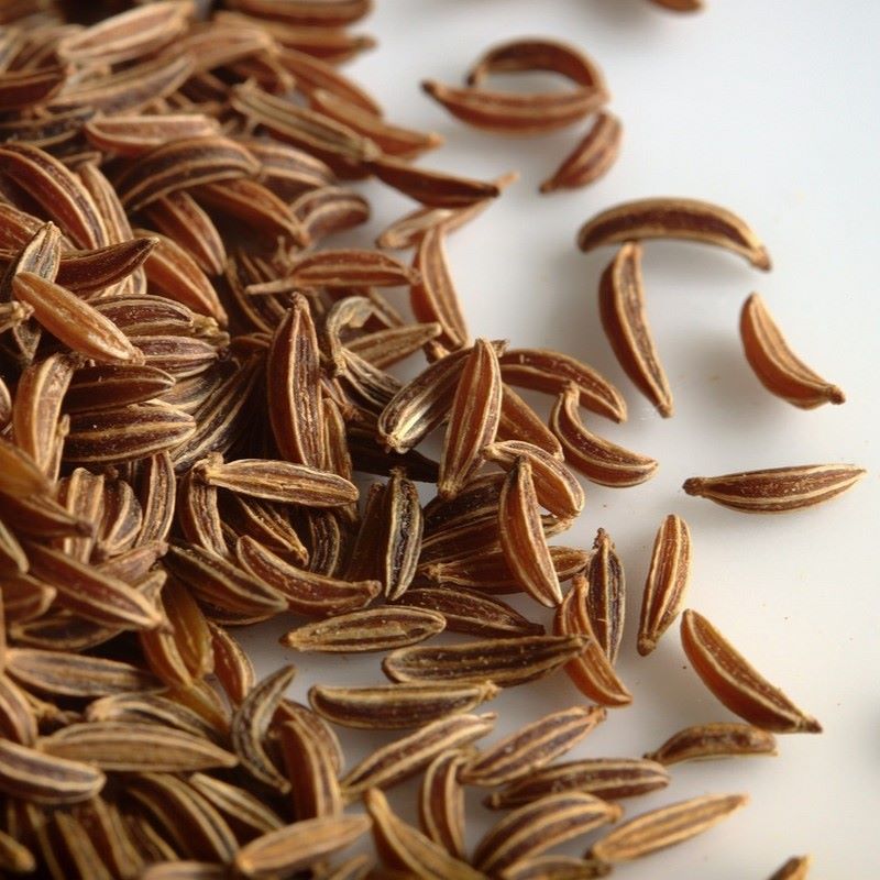 caraway