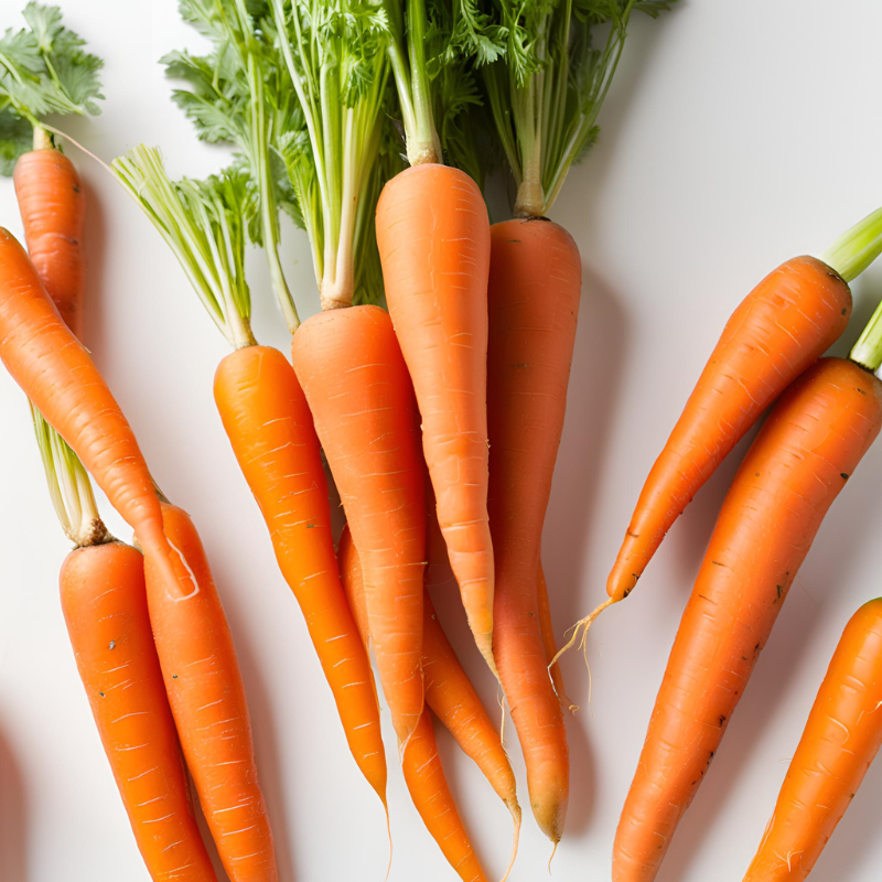 carrot