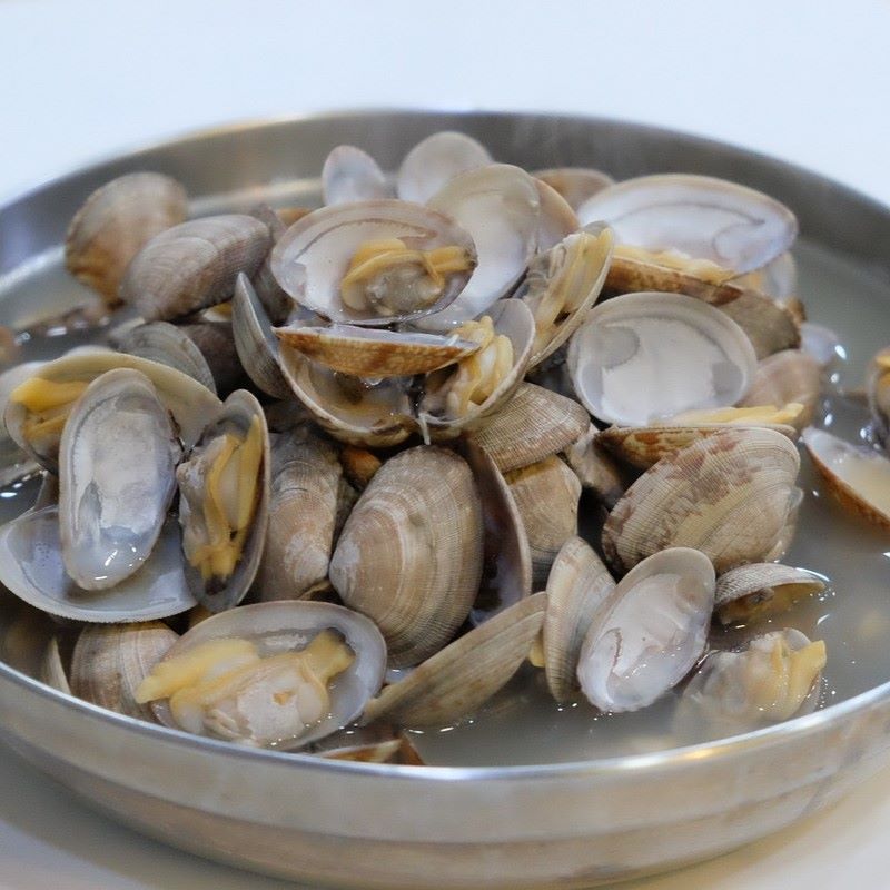 clam