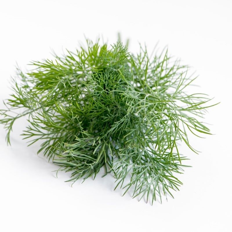 dill