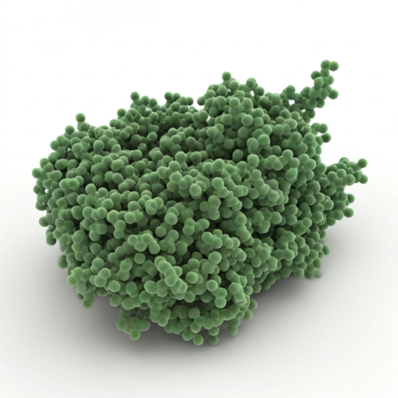 enzymes