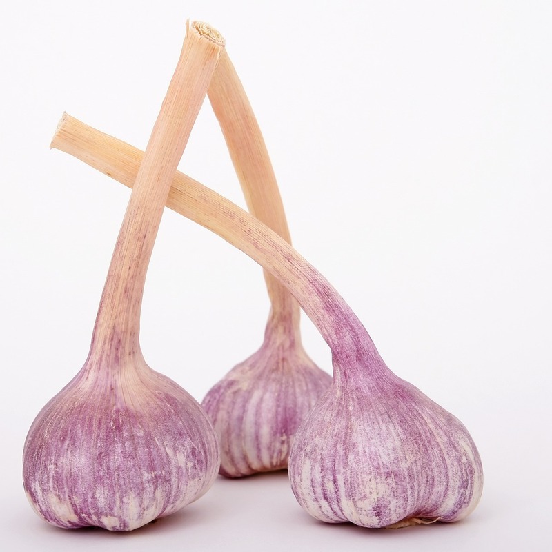 garlic