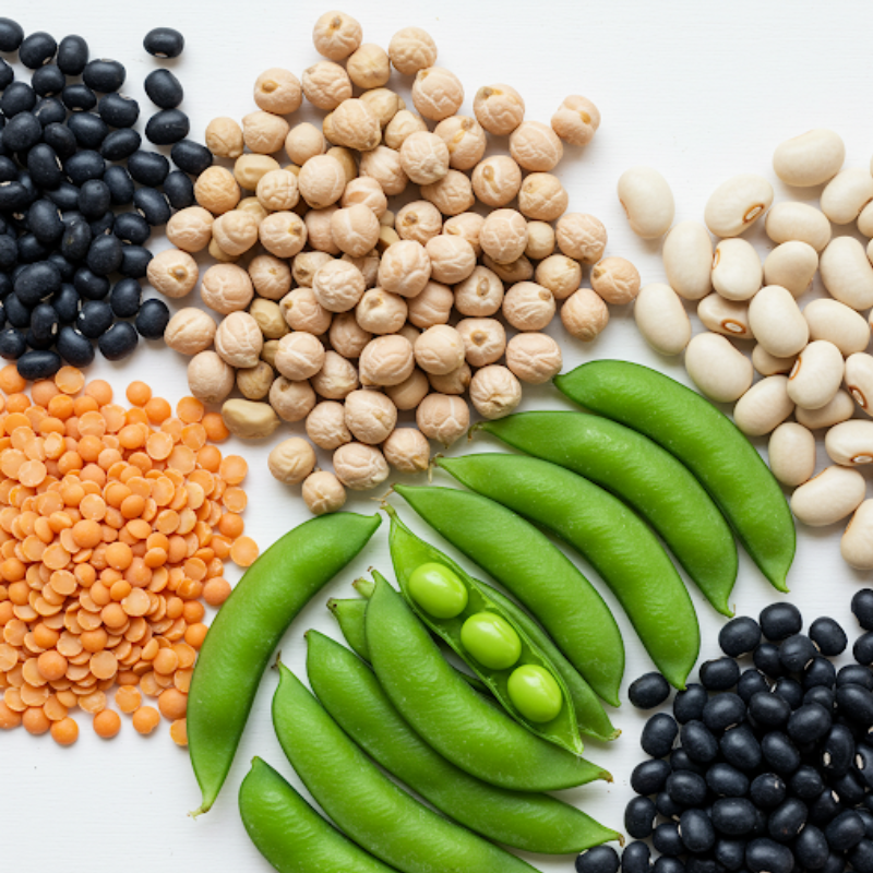 legume