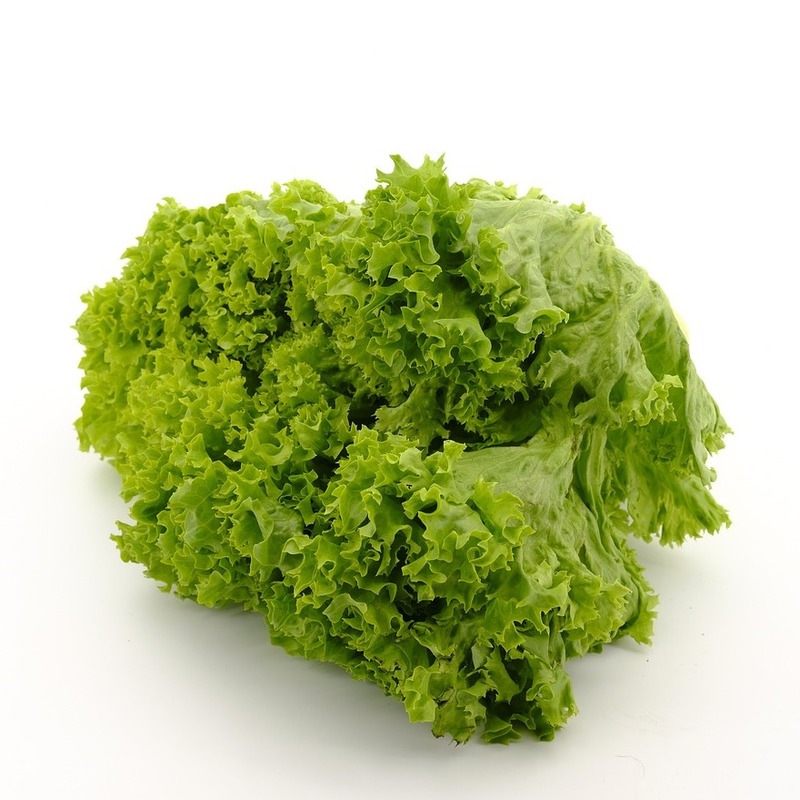 lettuce