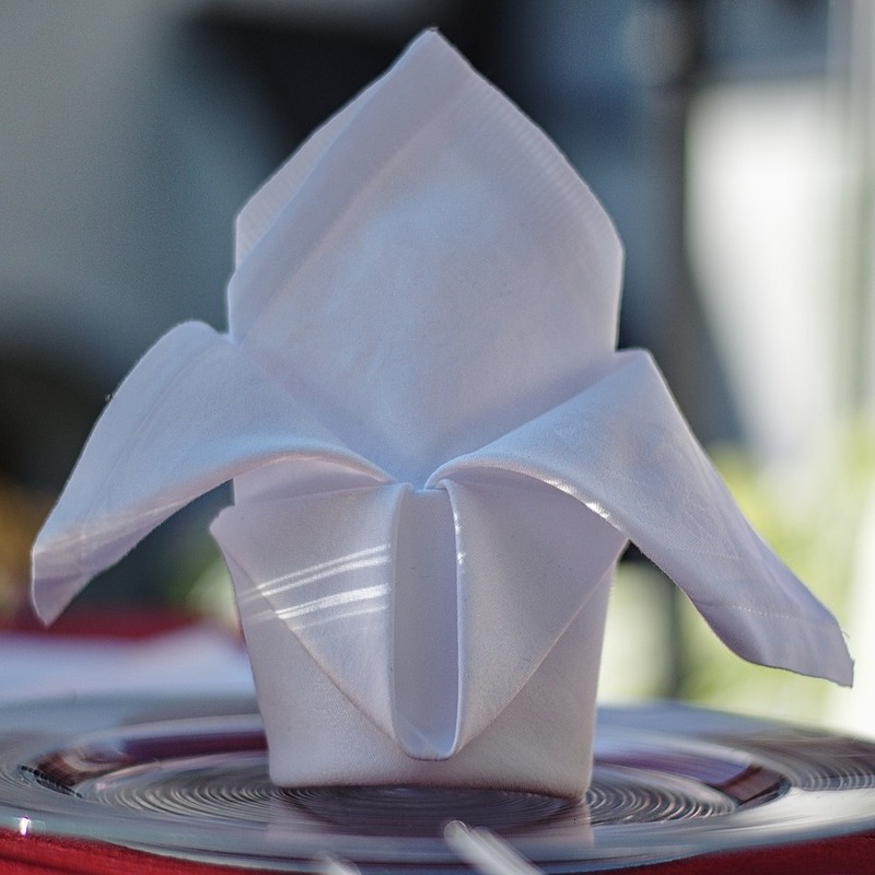 napkin