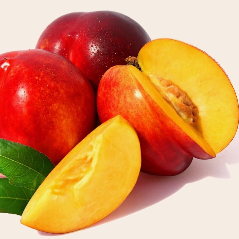 nectarine