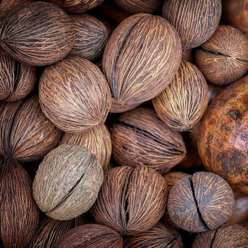 nutmeg