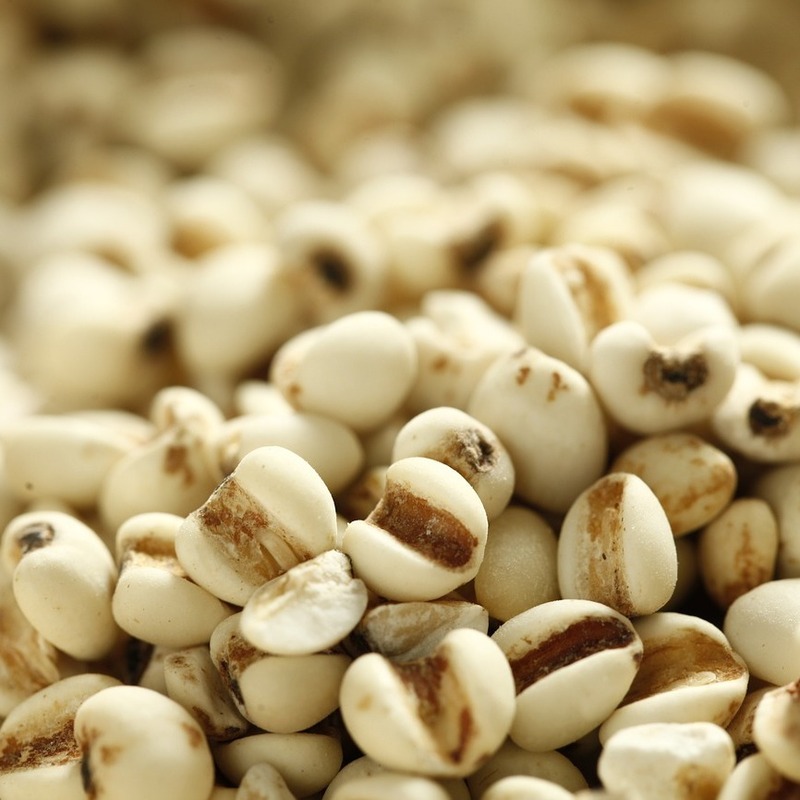 pearl barley
