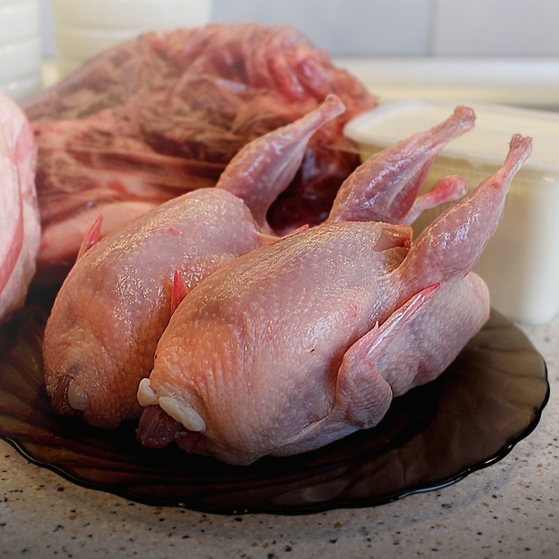 poultry