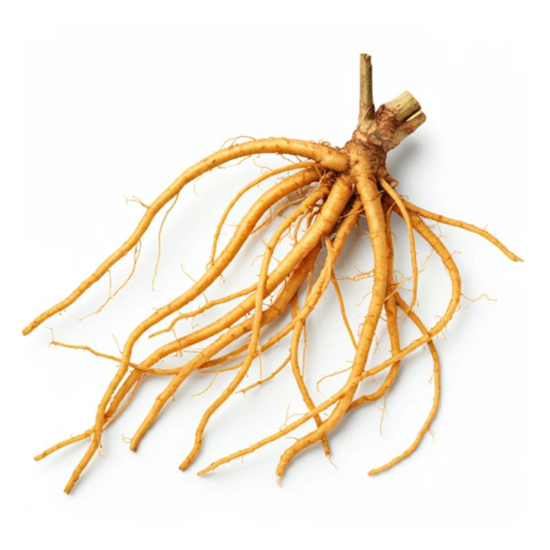root