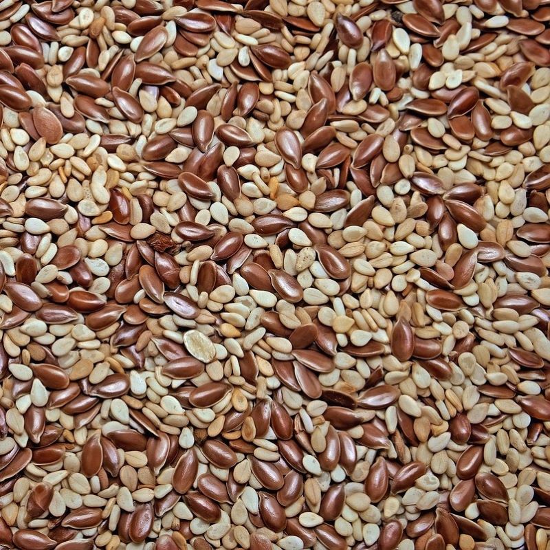 sesame seed