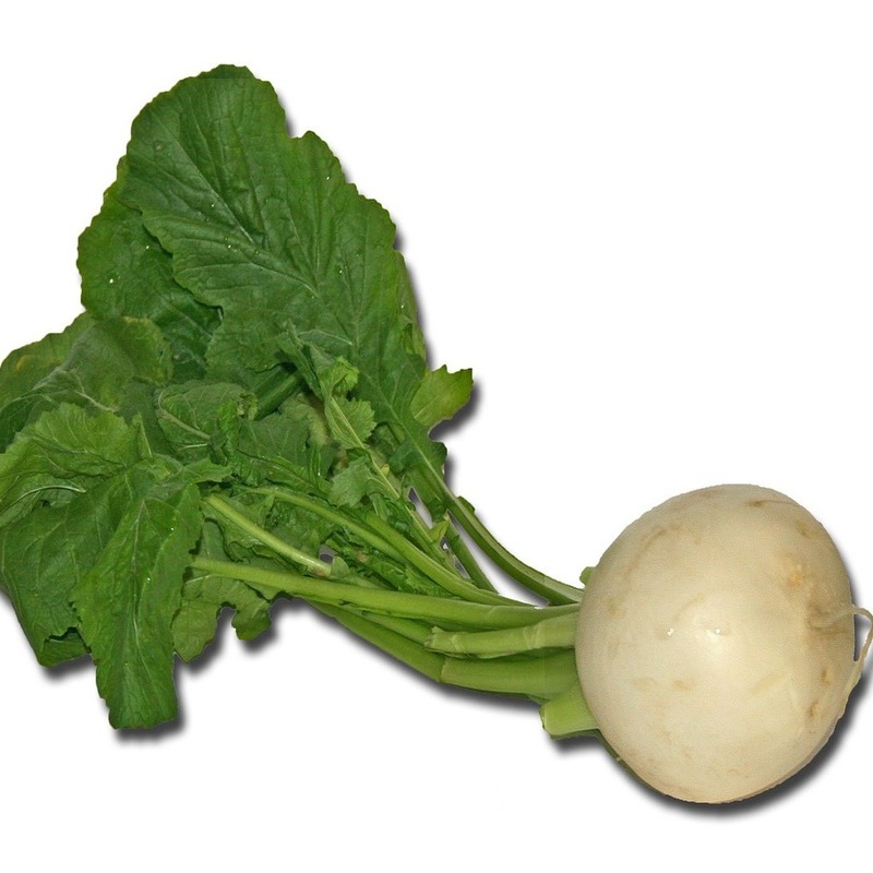 turnip